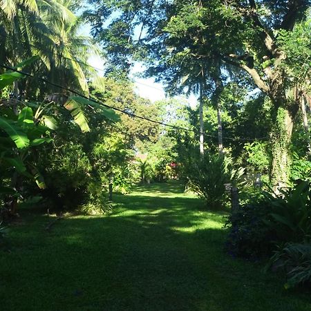 Acacia'S Cottages With Starlink Wifi Mambajao Extérieur photo