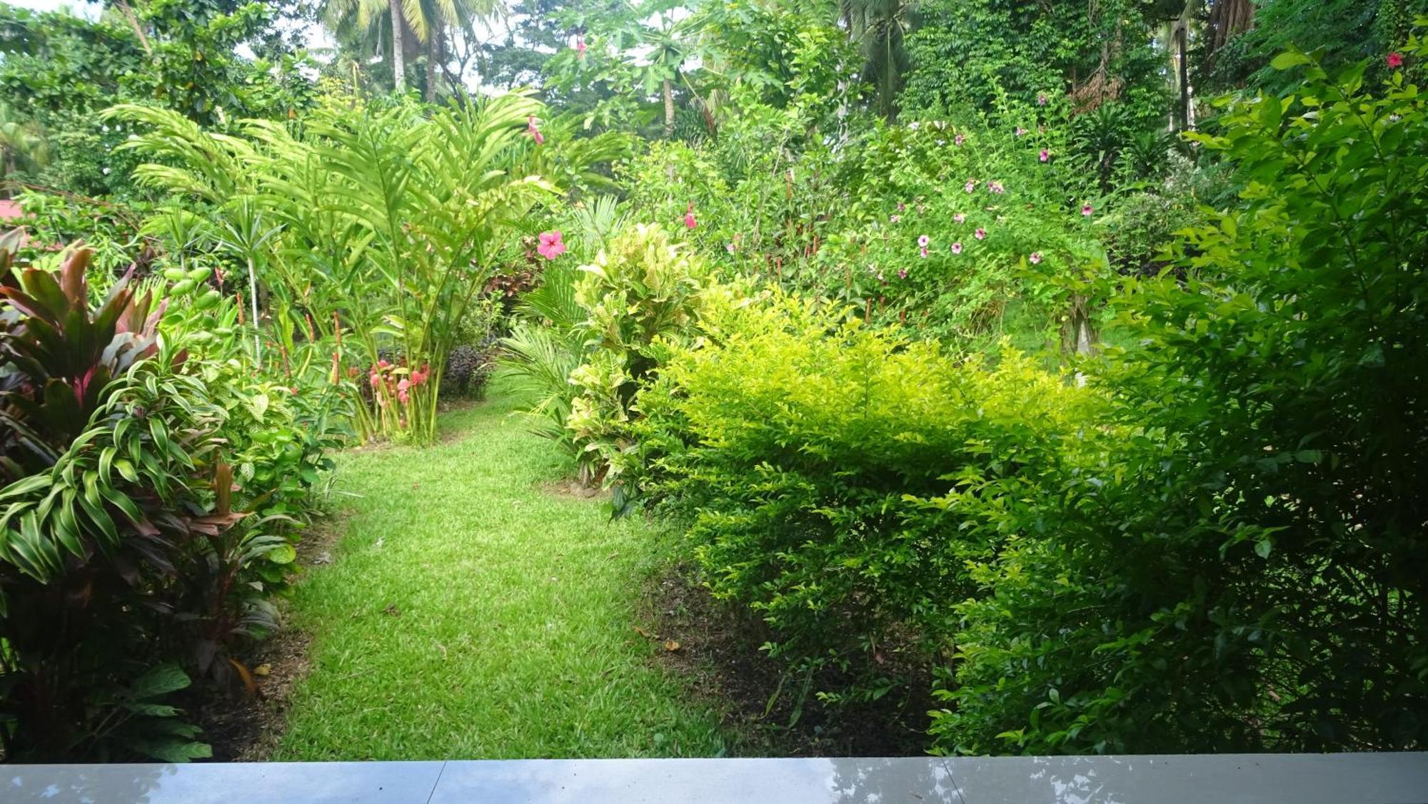 Acacia'S Cottages With Starlink Wifi Mambajao Extérieur photo