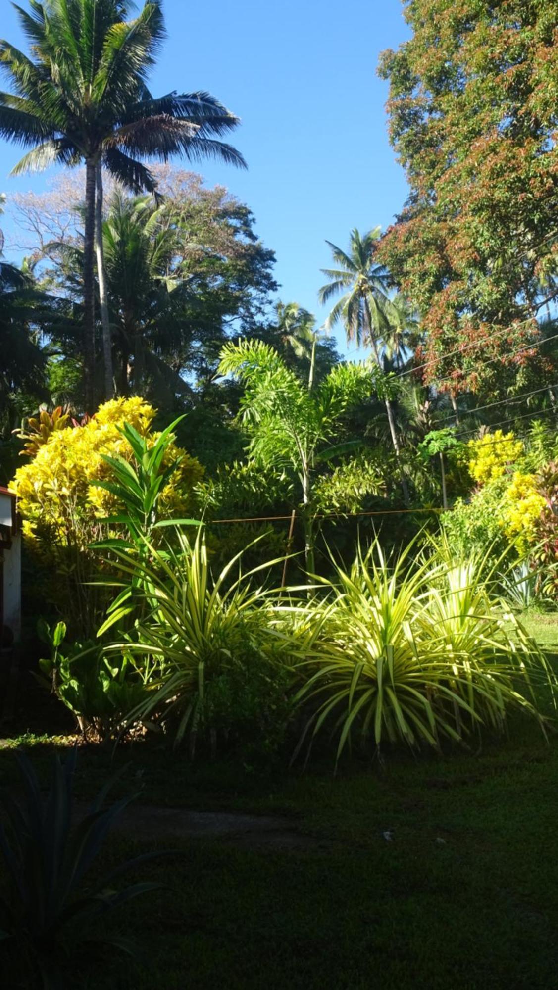 Acacia'S Cottages With Starlink Wifi Mambajao Extérieur photo