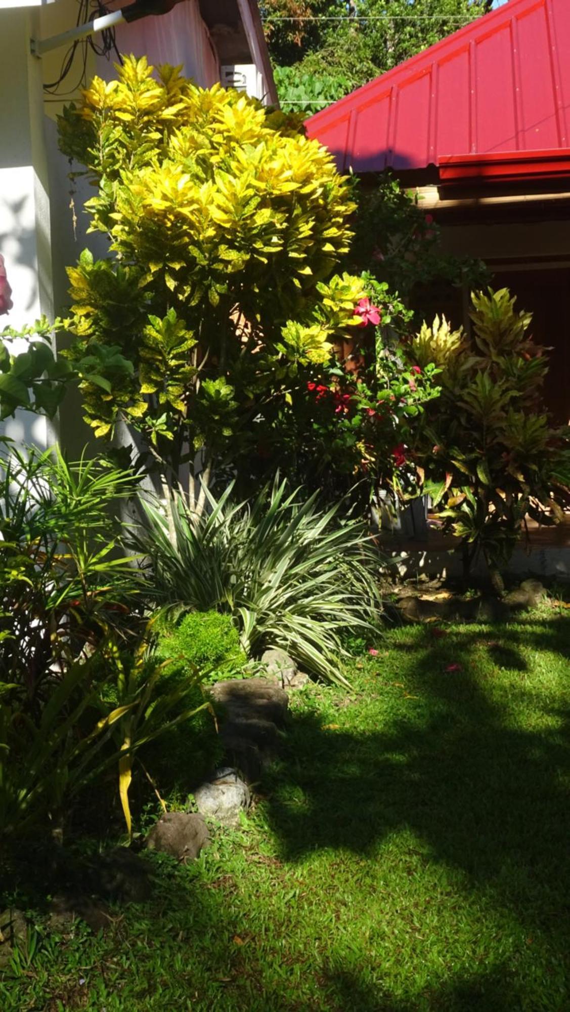 Acacia'S Cottages With Starlink Wifi Mambajao Extérieur photo