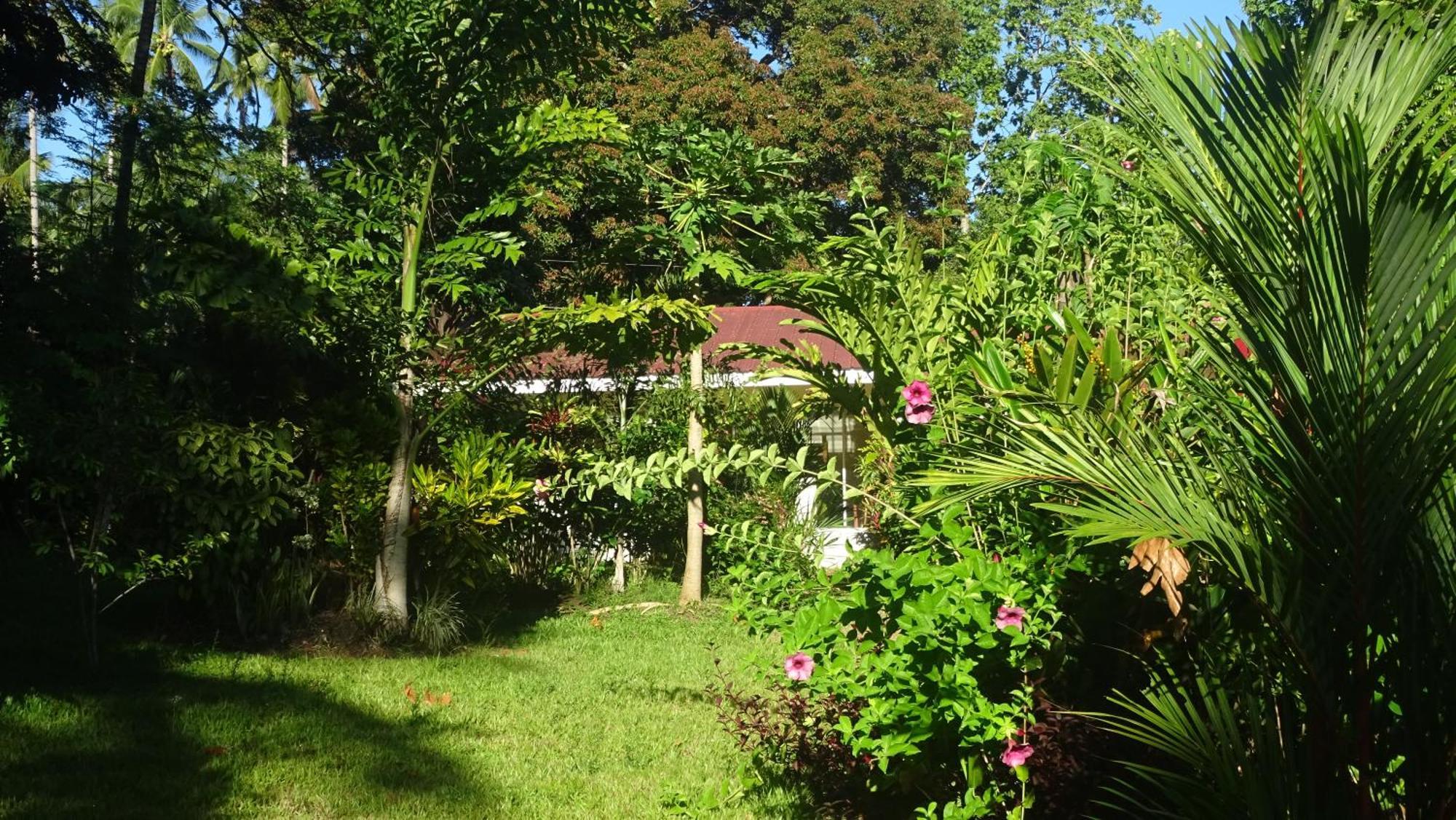 Acacia'S Cottages With Starlink Wifi Mambajao Extérieur photo